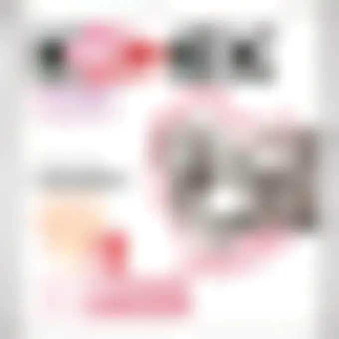 תחתונים סופגים לנשים לאחר לידה M - Image 2