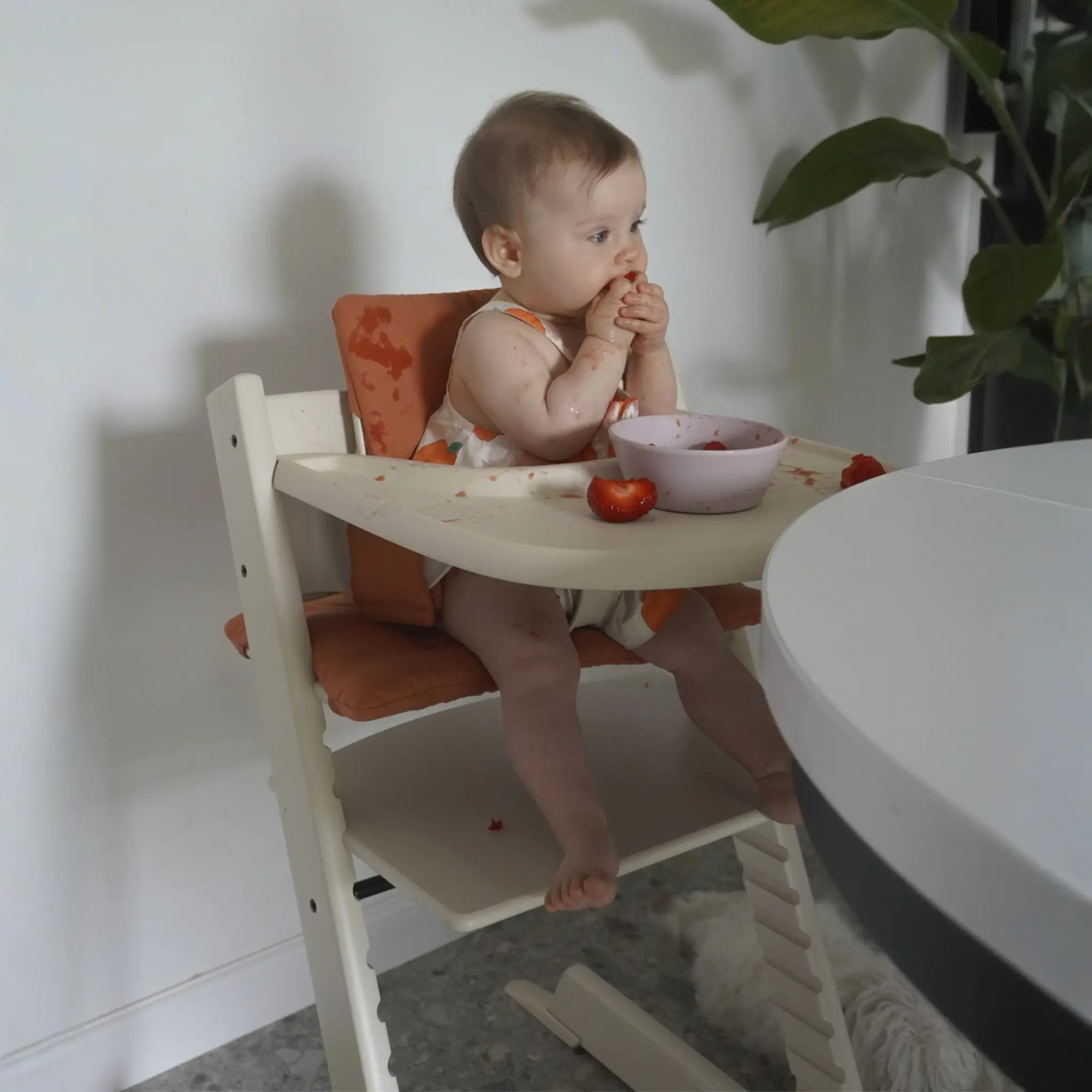 בייבי סט טריפ טראפ Tripp Trapp® - Image 17